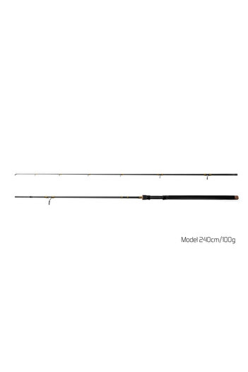 DELPHİN Lanseta Murena 2.40m 100g 2buc