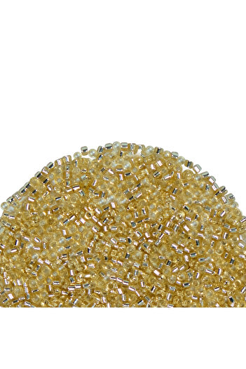 Miyuki Delica 11-0 Beads - Db1212-296 - 5 Grams