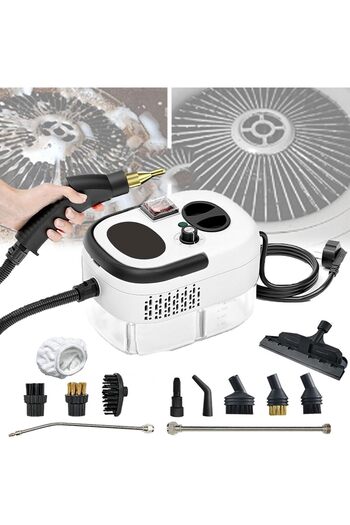 TERRION 105℃ Pressurized Steam Cleaner, 2500W Air Conditioning Range Hood Cleaning Machine