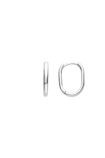 Luxenter Silver Earrings WISELU SSEW 559