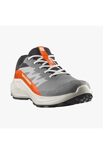 Salomon Alphaglide Gore-Tex Men's Gray Sports Shoes L47975300-7512