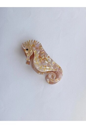 Reorah Collection Seahorse Buckle