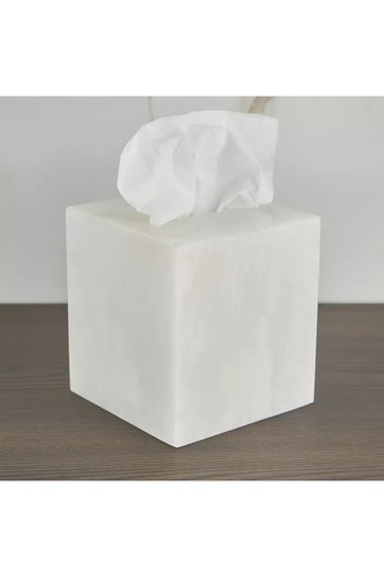 Home Centre Spanish Alabaster Tissue Box