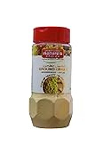Natures Choice Ginger Powder - 100 gm