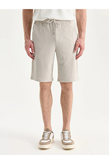 LC Waikiki Standard Mold Linen Look Men's Shorts