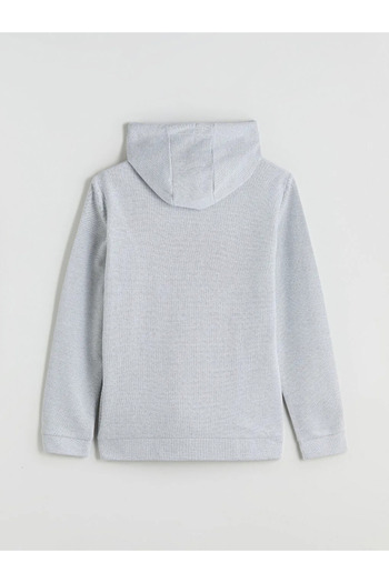 LC Waikiki Hooded Long Sleeve Men's Zippered Sweatshirt