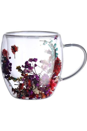 STOREMAX Snshop Double Wall Borosilicate Glass Cup Set of 2 250 ml with Dried Flower Detail Heat Resistant