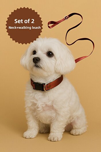 MOOD PAW Caramel Mood Adjustable Dog Collar and Leash Set
