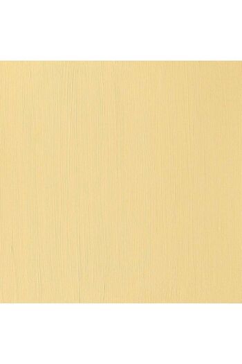 Winsor Newton Winsor & Newton Professional Akrilik Boya 60ml Azo Yellow Deep 039 S.2