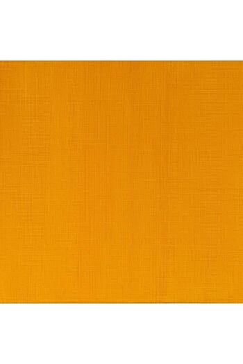 Winsor Newton Winsor & Newton Professional Akrilik Boya 60ml Azo Yellow Deep 039 S.2