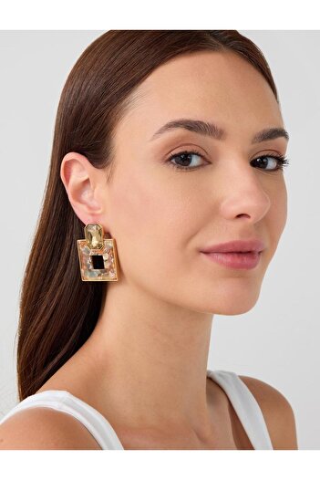 Jimmy Key Brown Square Figured Shiny Stone Detailed Earrings