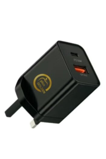 Golden 38W Wall Charger, Black