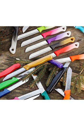 Solingen Serrated Fruit and Vegetable Knife 6 Pieces