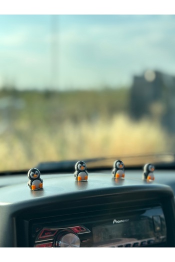 Balkhoon 4'lü Mini Penguen Set Araba Süsü Dikiz Aynası Süsü Oto Aksesuar Hediyelik Eşya
