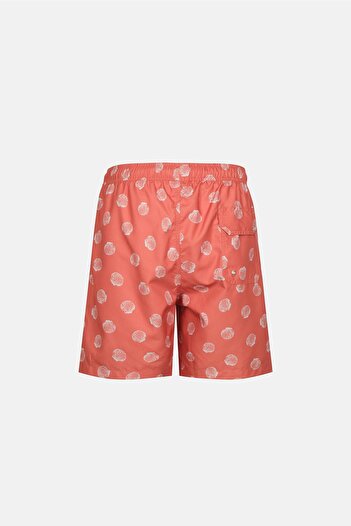 Dagi Multicolor Seashell Mid Shorts