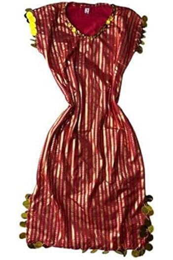Generic Nancy Princess Dress for Girls, Dance Costume