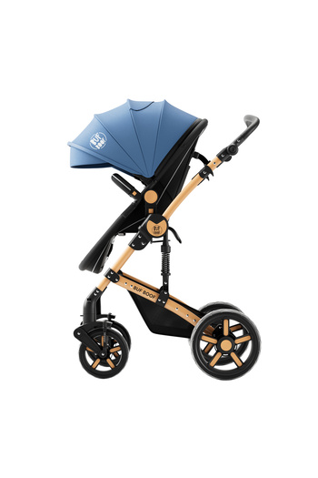BUF BOOF 2 in 1 reversible stroller A1 Deluxe BUF BOOF Blue 0 36 months