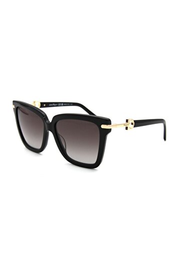 Salvatore Ferragamo Sf 1085S C011 Women's Sunglasses