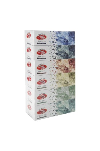 Homemate Home Mate Soft Facial Tissue 2-Ply Value Pack | 6 Boxes x 150 Sheets (900 Total)