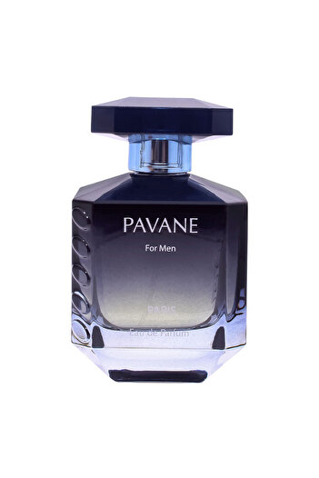 Pavan Ancora Pavane for Men - Perfume Masculino - EDP 100 ml
