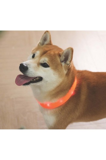 M-PETS Flash Led Neck Collar Orange (S)