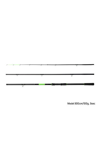 DELPHİN Wasabi Feeder Rod 3m 100g 3pcs 3tips