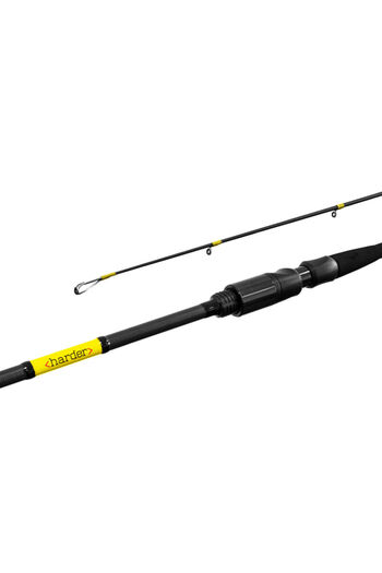 DELPHİN Lanseta Harder 1.80M 60G 2Buc