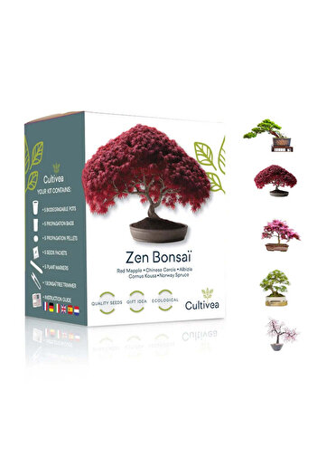 OEM Kit de cultivare bonsai Zen Bonsai - Arta miniaturala a naturii