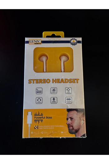 Denx Type-C Wired Earphone with Microphone - DX301-B