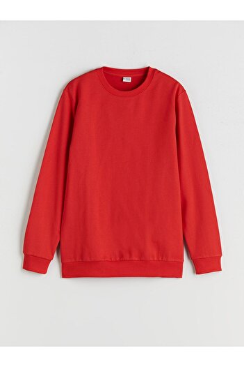 LC Waikiki Lcw Kids Crew Neck Boy Sweatshirt