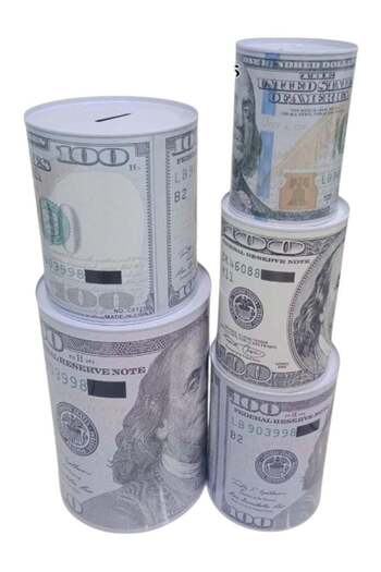 Toybox Dollar Money Saving Piggy Bank For Kids Set of 5pcs