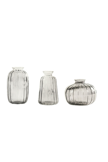 HOMİNG Clear Glass Mini Vase Flower Holder Set 242230