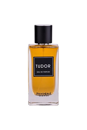 Pendora Scents Tudor, Eau De Parfum For Men, 100ml