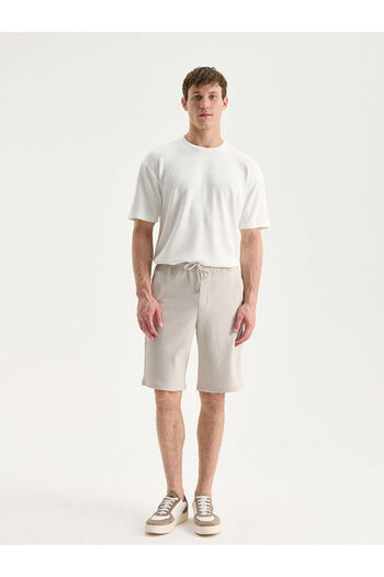 LC Waikiki Sparkling Selections from Shining Store |   Standard Fit Linen Look Men's Shorts