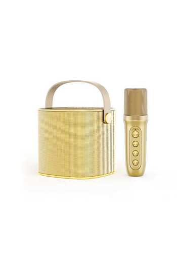 SMART BARRY YS-101 Bluetooth Karaoke Speaker with High-Quality Wireless Microphone