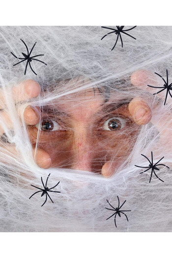 Aurueda Set of 6 artificial spiders and web Aurueda, cotton/plastic, black/white