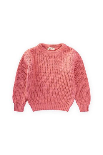 Cigit Crew Neck Thessaloniki Knitwear Sweater 2-8 Years Old Salmon