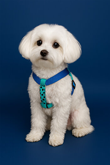 MOOD PAW Sky Mood Anti-Pull Adjustable H Type Dog Chest Harness