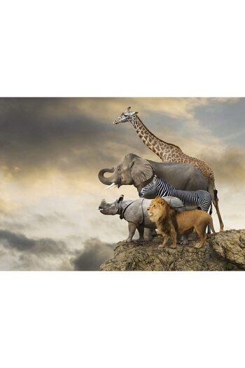 EDUCA Puzzle - Animals on the Edge of a Cliff, 500 piese, include lipici puzzle