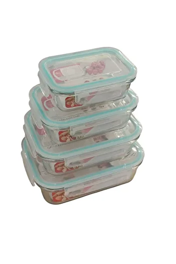 luxurianthome 4 Piece Rectangular Pyrex Storage Container