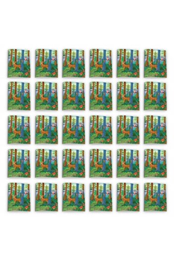 Katartis Pachet 30 caiete dictando, A5, 48 file