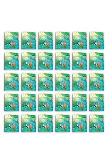 Katartis Pack of 30 notebooks type 1, A5, 48 sheets