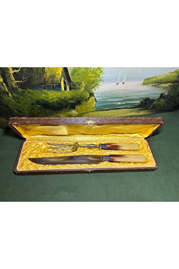tayfuntufan antika koleksiyon 1960S French Catalin Handle Serving Set in Original Box