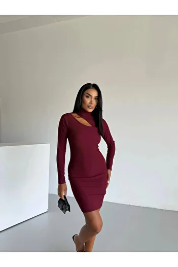 hazelin Women's Burgundy High Neck Long Sleeve Ottoman Fabric Dress Hzl25S-Fry123331