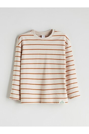 LC Waikiki Lcw Kids Crew Neck Striped Boy T-Shirt