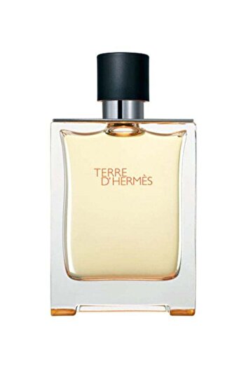 Hermes عطر تيري دي هيرميس 100 مل