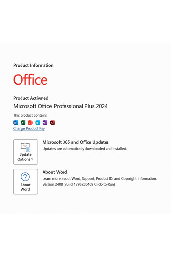 MICROSOFT Licenta Microsoft® Office Pro Plus 2024 – Activare Online, All Languages, USB cu kit oficial inclus