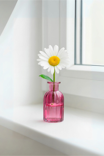 HOMİNG Glass Mini Vase Flower Holder 242231