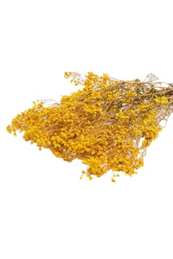 OEM Flori de Gypsophila stabilizate, 70 cm, galbene