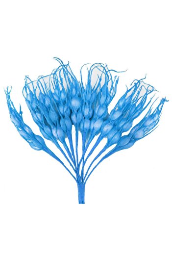 NO NAME Μοντέλο Flower Spike - 100 Τεμάχια Μπλε 7 εκ
